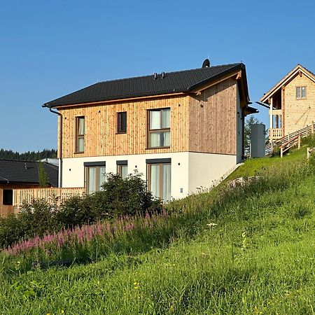 Berglisl - Direkt An Der Schipiste! Neue Ferienwohnung Mit Sauna Klippitztorl Εξωτερικό φωτογραφία